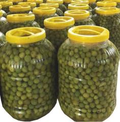 Halhalı Kırma Zeytin 3 lük Pet Toptan