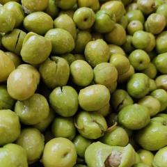 Halhalı Kırma Zeytin 3 lük Pet Toptan