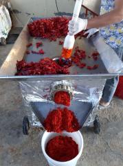 Hatay Acı Biber Salçası 20 kg Toptan