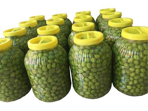 Hatay Toptan Kırma Yeşil Zeytin