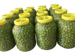 Hatay Toptan Kırma Yeşil Zeytin