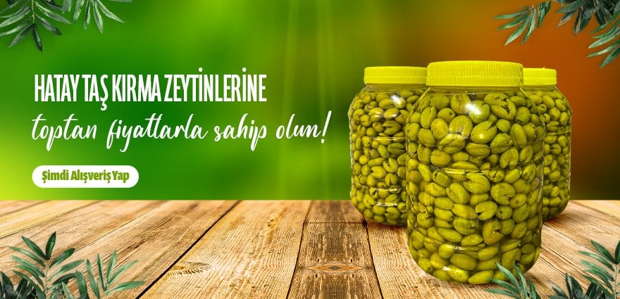 Taş Kırma Zeytin Toptan